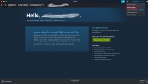 Steam interface