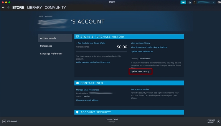 Steam account details