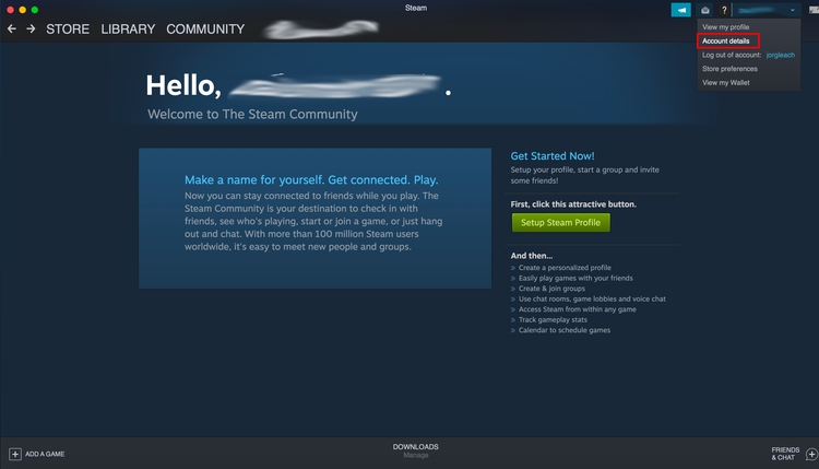 Steam interface