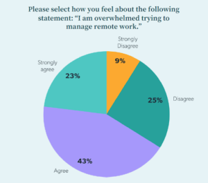 SME IT Teams Have Been Challenged by Remote Work